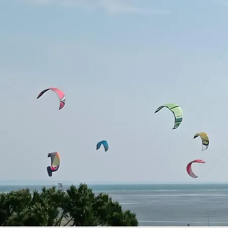 Seaview Front Pineta Andromeda