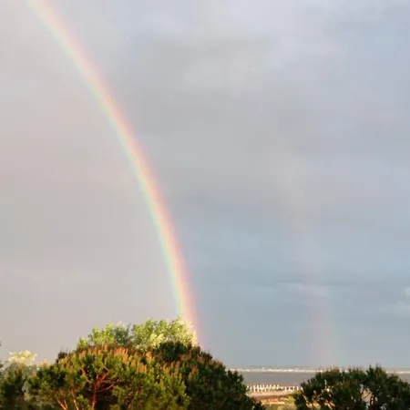 Appartement Seaview Front Pineta Andromeda